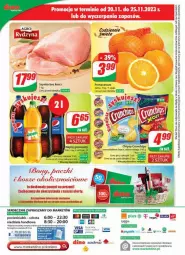 Gazetka promocyjna Dino - Gazetka - ważna od 28.11 do 28.11.2023 - strona 21 - produkty: Chipsy, Pomarańcze, Tera, Siatka, Szynka, Napój gazowany, Crunchips, Lorenz, Napój, Fa