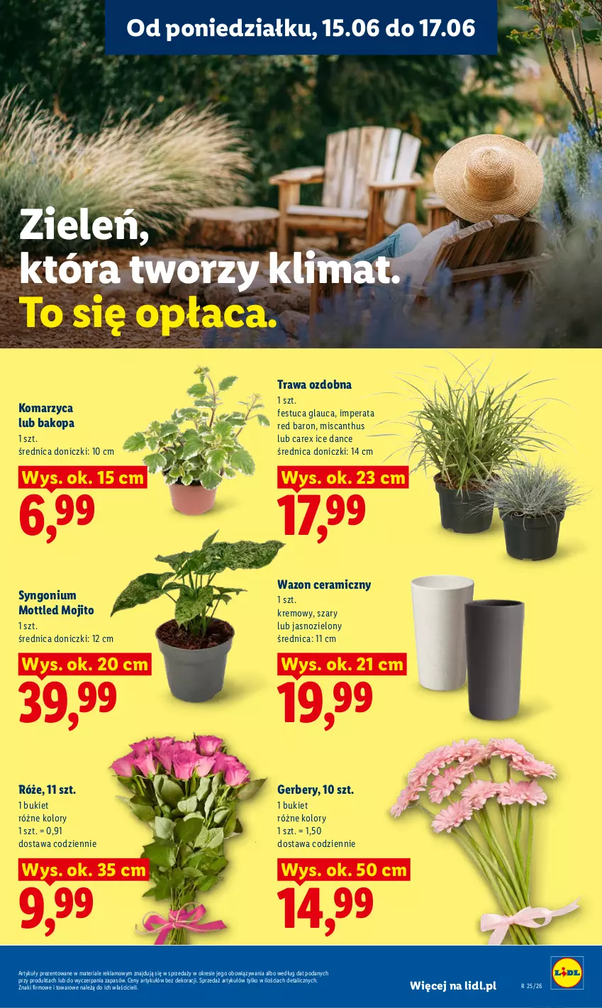 Gazetka promocyjna Lidl - Gazetka ważna od 15.06 do 17.06 - ważna 15.06 do 17.06.2026 - strona 97 - produkty: Bukiet, Gerber, Wazon