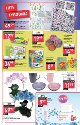 Gazetka promocyjna Stokrotka - Market - Gazetka - ważna od 07.09 do 07.09.2022 - strona 8 - produkty: Pościel, Plastelina, Storczyk, Wkład filtrujący, Kubek, Miska