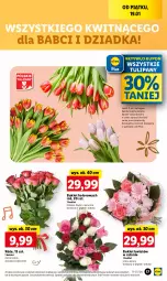 Gazetka promocyjna Lidl - GAZETKA - Gazetka - ważna od 20.01 do 20.01.2024 - strona 19 - produkty: Tulipan, Bukiet, Olej