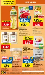 Gazetka promocyjna Lidl - GAZETKA - Gazetka - ważna od 20.01 do 20.01.2024 - strona 32 - produkty: Naleśniki, Sałatka, Ser, Wazon, Sałat, Virtu, Maliny, Czekolada, Olej rzepakowy, Mango, Olej