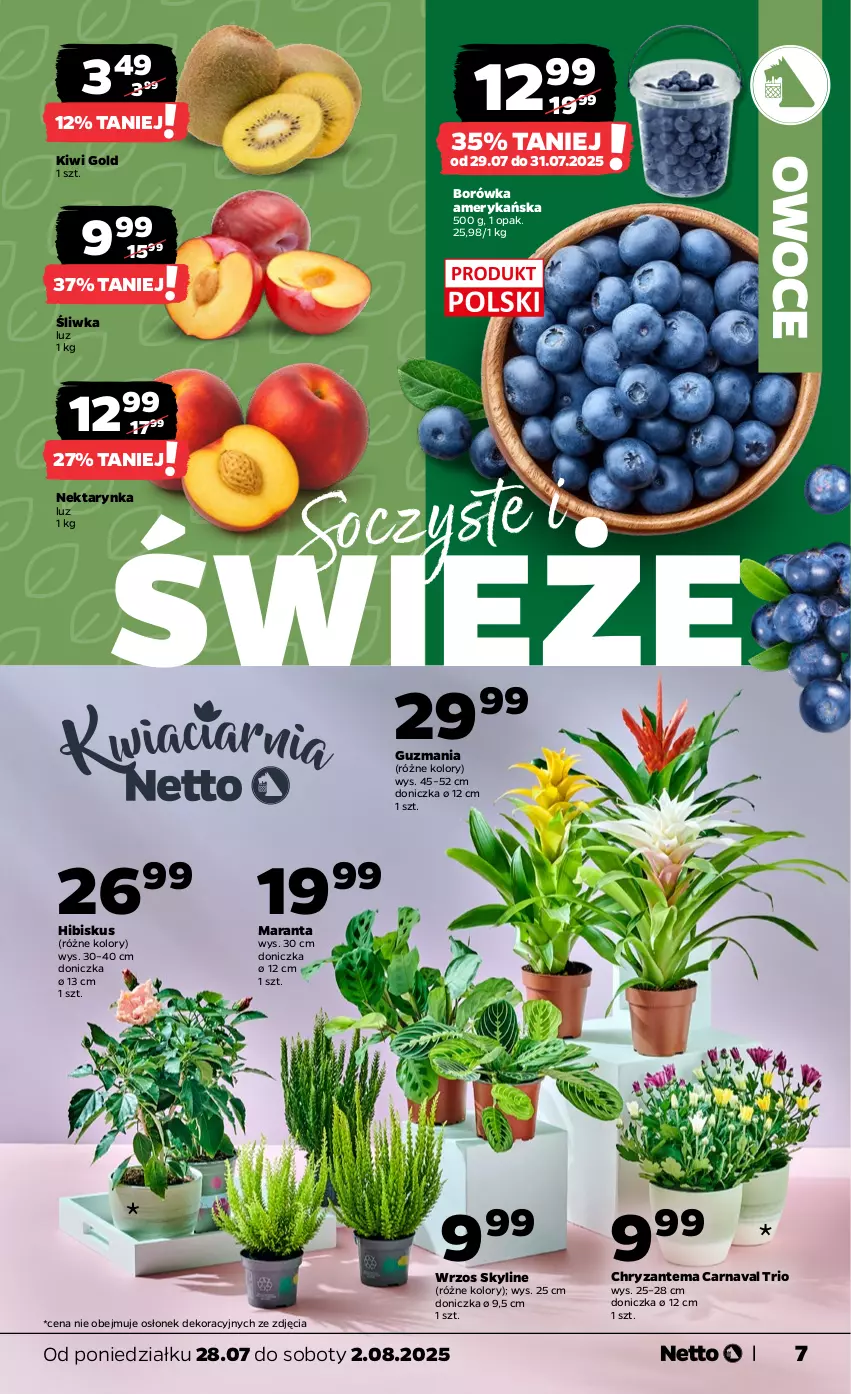 Gazetka promocyjna Netto - Od Poniedziałku - ważna 28.07 do 02.08.2025 - strona 7 - produkty: Borówka, Borówka amerykańska, Chryzantema, Hibiskus, Kiwi, Nektar, Nektarynka, Owoce