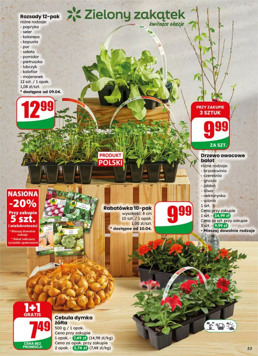 Gazetka promocyjna Dino - Gazetka 15 / 2026 - ważna 08.04 do 14.04.2026 - strona 53 - produkty: Cebula, Kalafior, Nektar, Nektarynka, Pietruszka, Por, Sałat, Sok