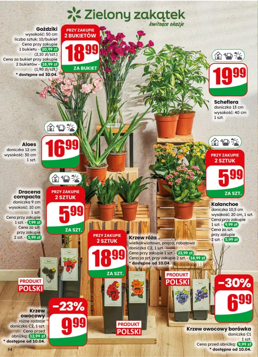 Gazetka promocyjna Dino - Gazetka 15 / 2026 - ważna 08.04 do 14.04.2026 - strona 54 - produkty: Borówka, Bukiet, Kalanchoe, Róża, Sok
