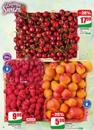 Gazetka promocyjna Dino - Gazetka 26 / 2026 - Gazetka - ważna od 30.06 do 30.06.2026 - strona 40 - produkty: Morela