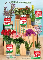 Gazetka promocyjna Dino - Gazetka 26 / 2026 - Gazetka - ważna od 30.06 do 30.06.2026 - strona 61 - produkty: Sok, Kalanchoe, Bukiet, K2