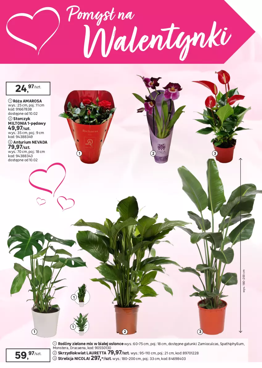 Gazetka promocyjna Leroy Merlin - Gazetka Leroy Merlin - ważna 28.01 do 24.02.2026 - strona 20 - produkty: Gra, Karnisz, Laur, Listwa, Poszewka, Roleta, Róża, Storczyk, Szyna, Tera, Zasłona