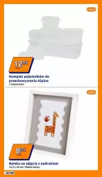 Gazetka promocyjna Action - Gazetka - ważna od 31.12 do 31.12.2024 - strona 8 - produkty: Alpina, Pojemnik, Ramka