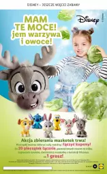 Gazetka promocyjna Lidl - GAZETKA - Gazetka - ważna od 17.10 do 17.10.2021 - strona 11 - produkty: Piec, Warzywa, Top, Warzywa i owoce, Disney, Owoce, Kotek