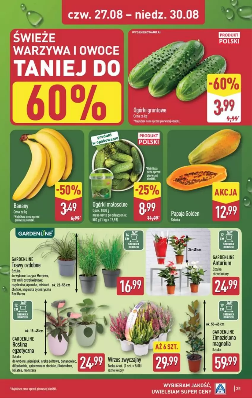 Gazetka promocyjna Aldi - Pełna oferta - ważna 24.08 do 30.08.2026 - strona 35 - produkty: Chia, Fa, Grunt, Koc, Miska, Owoce, Tera, Warzywa, Warzywa i owoce