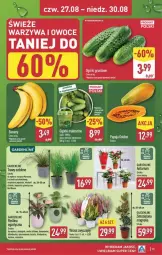 Gazetka promocyjna Aldi - Pełna oferta - Gazetka - ważna od 30.08 do 30.08.2026 - strona 35 - produkty: Warzywa, Koc, Warzywa i owoce, Chia, Tera, Owoce, Grunt, Miska, Fa