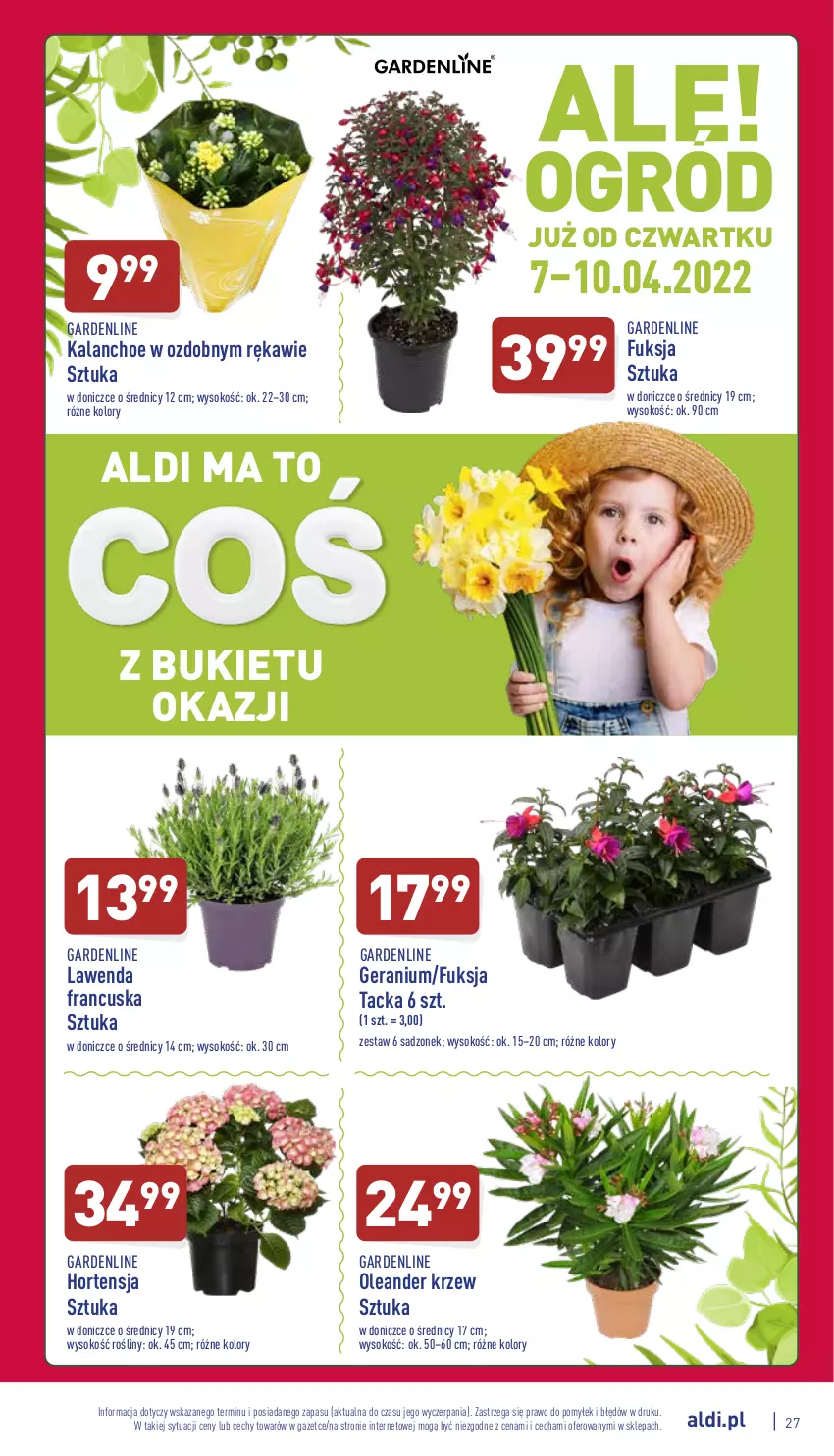 Gazetka promocyjna Aldi - Katalog spożywczy - ważna 04.04 do 10.04.2022 - strona 27 - produkty: Bukiet, Kalanchoe, Sok