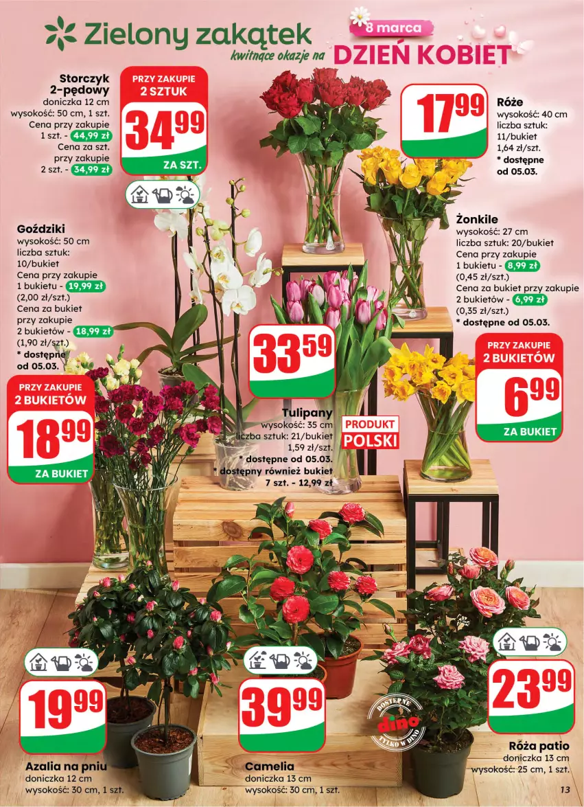Gazetka promocyjna Dino - Gazetka 10 / 2026 - ważna 04.03 do 10.03.2026 - strona 13 - produkty: Bukiet, Róża, Sok, Storczyk