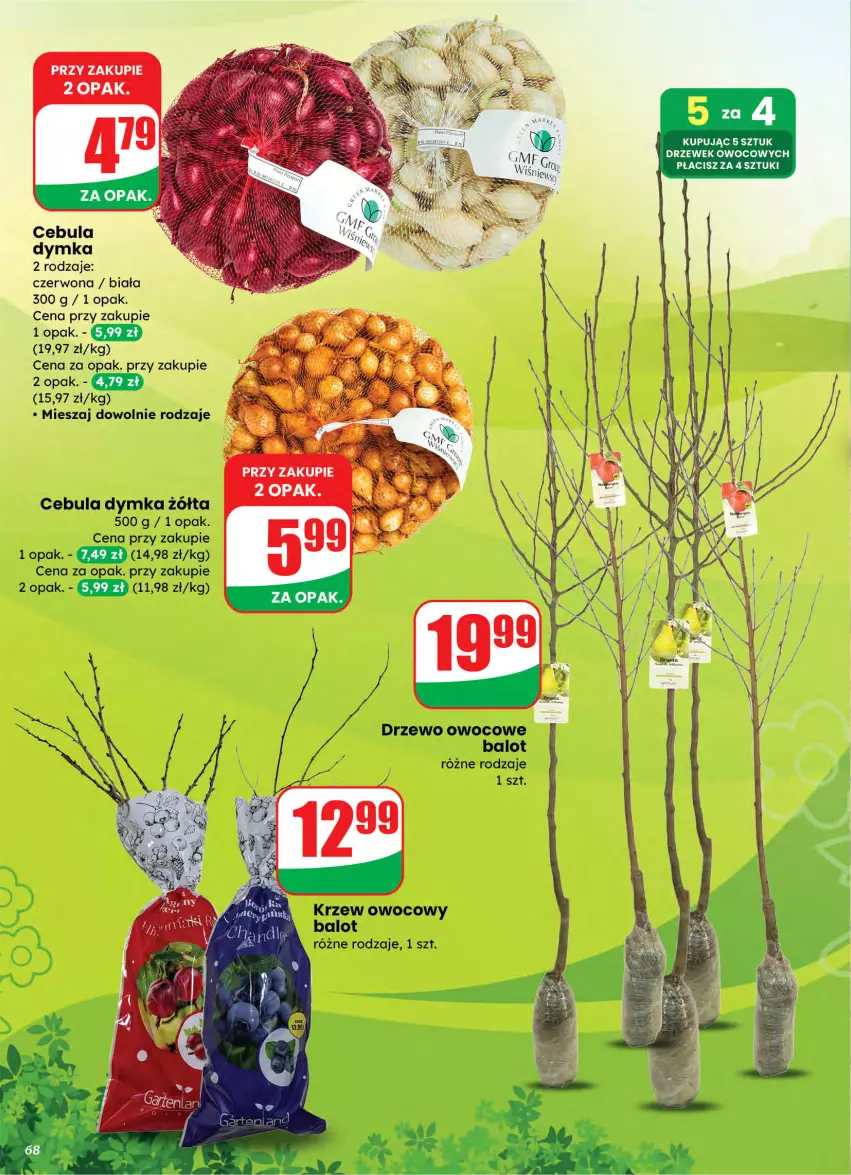 Gazetka promocyjna Dino - Gazetka 10 / 2026 - ważna 04.03 do 10.03.2026 - strona 68 - produkty: Cebula