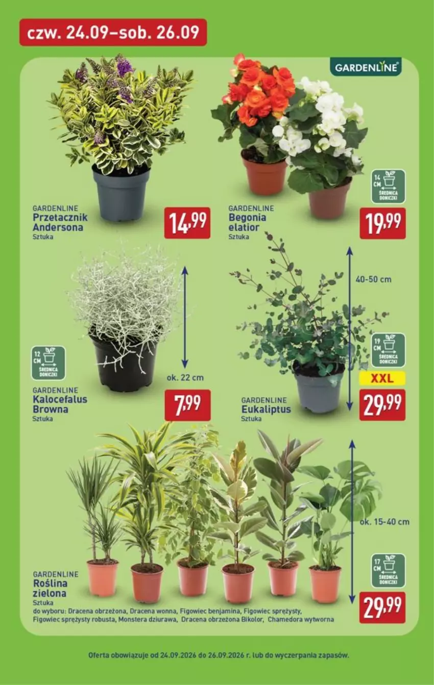 Gazetka promocyjna Aldi - Oferta Weekendowa - ważna 24.09 do 26.09.2026 - strona 7 - produkty: Fa, Tera