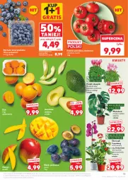 Gazetka promocyjna Kaufland - Gazetka tygodnia - Gazetka - ważna od 19.11 do 19.11.2025 - strona 15 - produkty: Gra, Kaki, Tera, Storczyk, Mango, Pomidory
