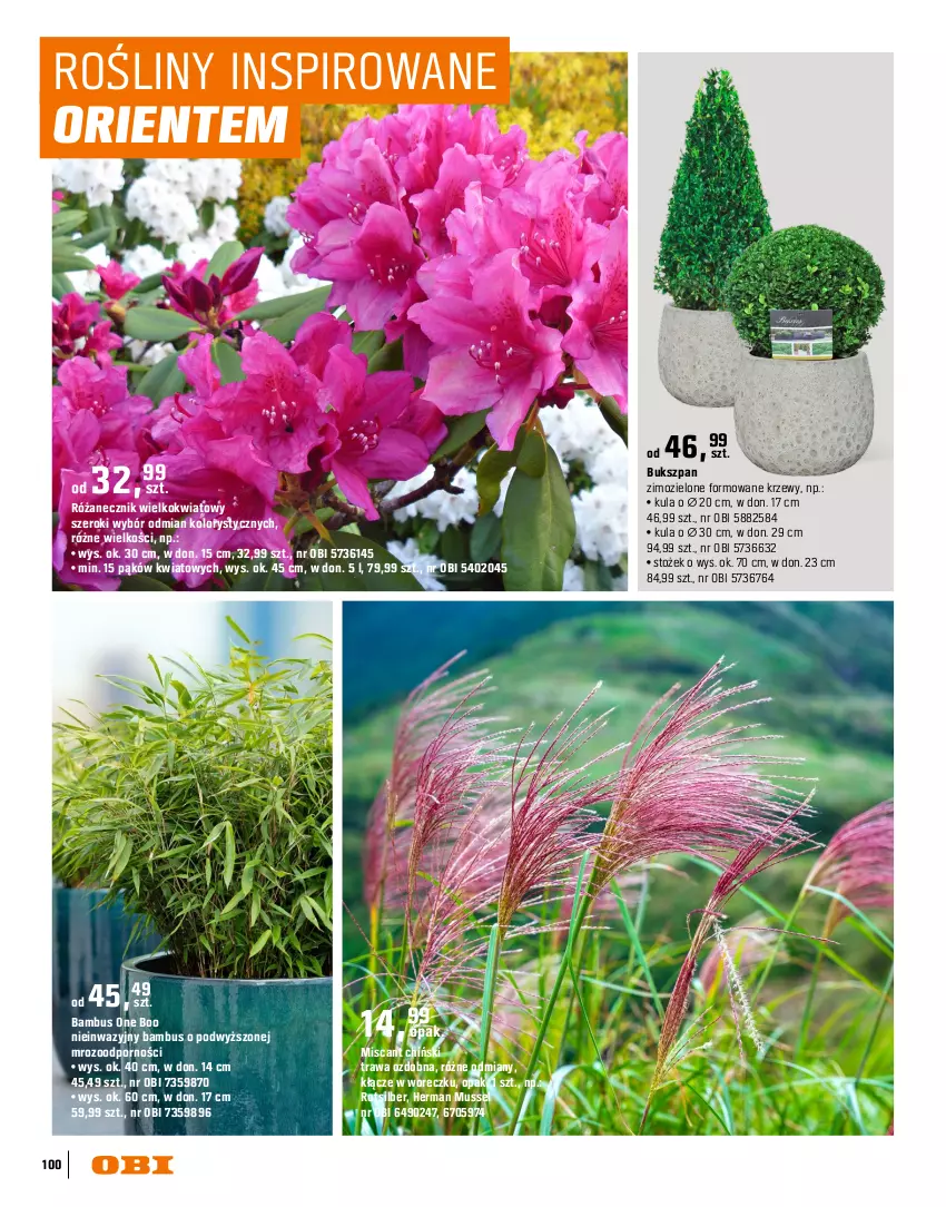 Gazetka promocyjna Obi - Gazetka OBI - ważna 16.03 do 31.08.2026 - strona 100 - produkty: Mus, Por, Róża