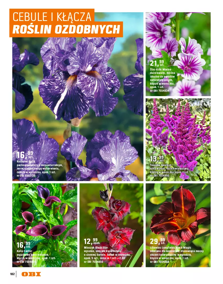 Gazetka promocyjna Obi - Gazetka OBI - ważna 16.03 do 31.08.2026 - strona 102 - produkty: Cebula, Lack, Miecz, Piwo, Ser, Sok