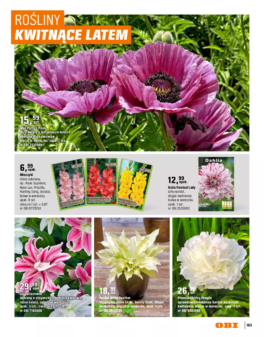 Gazetka promocyjna Obi - Gazetka OBI - ważna 16.03 do 31.08.2026 - strona 103 - produkty: Cebula, Lack, Miecz, Piwo, Ser, Sok