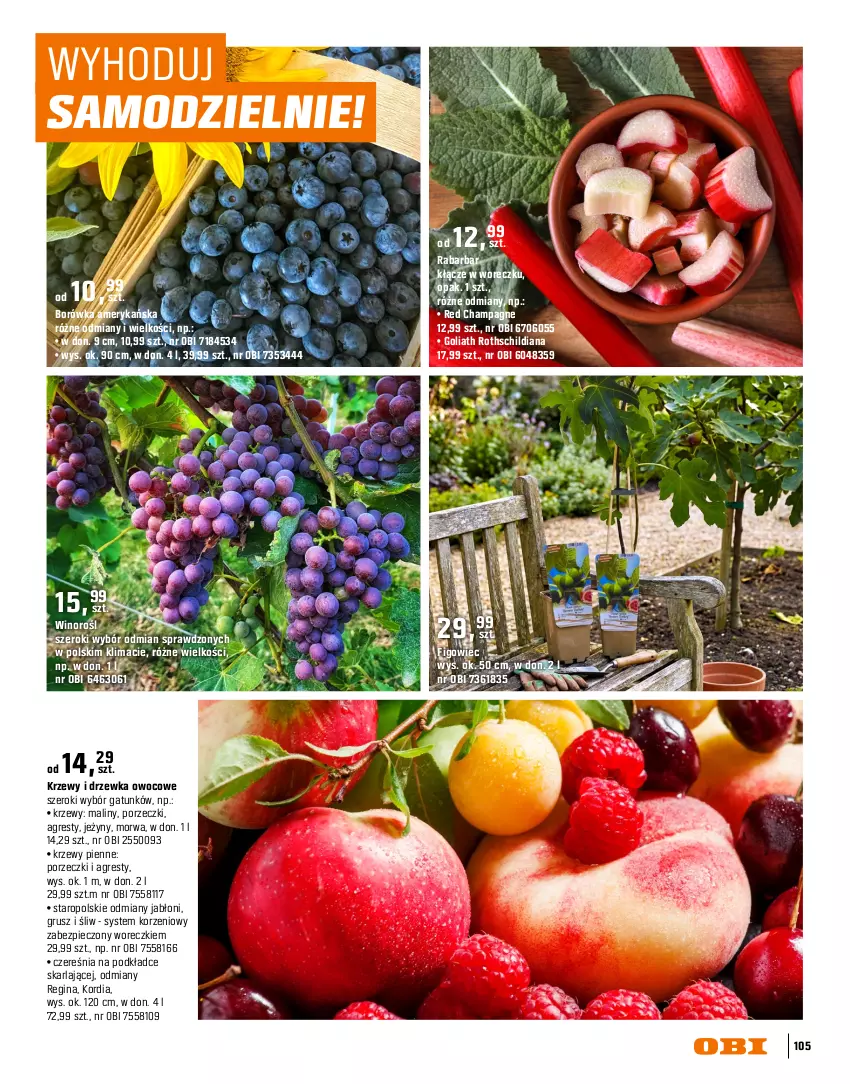 Gazetka promocyjna Obi - Gazetka OBI - ważna 16.03 do 31.08.2026 - strona 105 - produkty: Arbuz, Borówka, Borówka amerykańska, Cebula, Gin, Gres, Intel, Jeżyny, Maliny, Melon, Ogród, Piast, Piec, Podkład, Pomidory, Por, Sałat, Seler naciowy, Truskawki, Wino