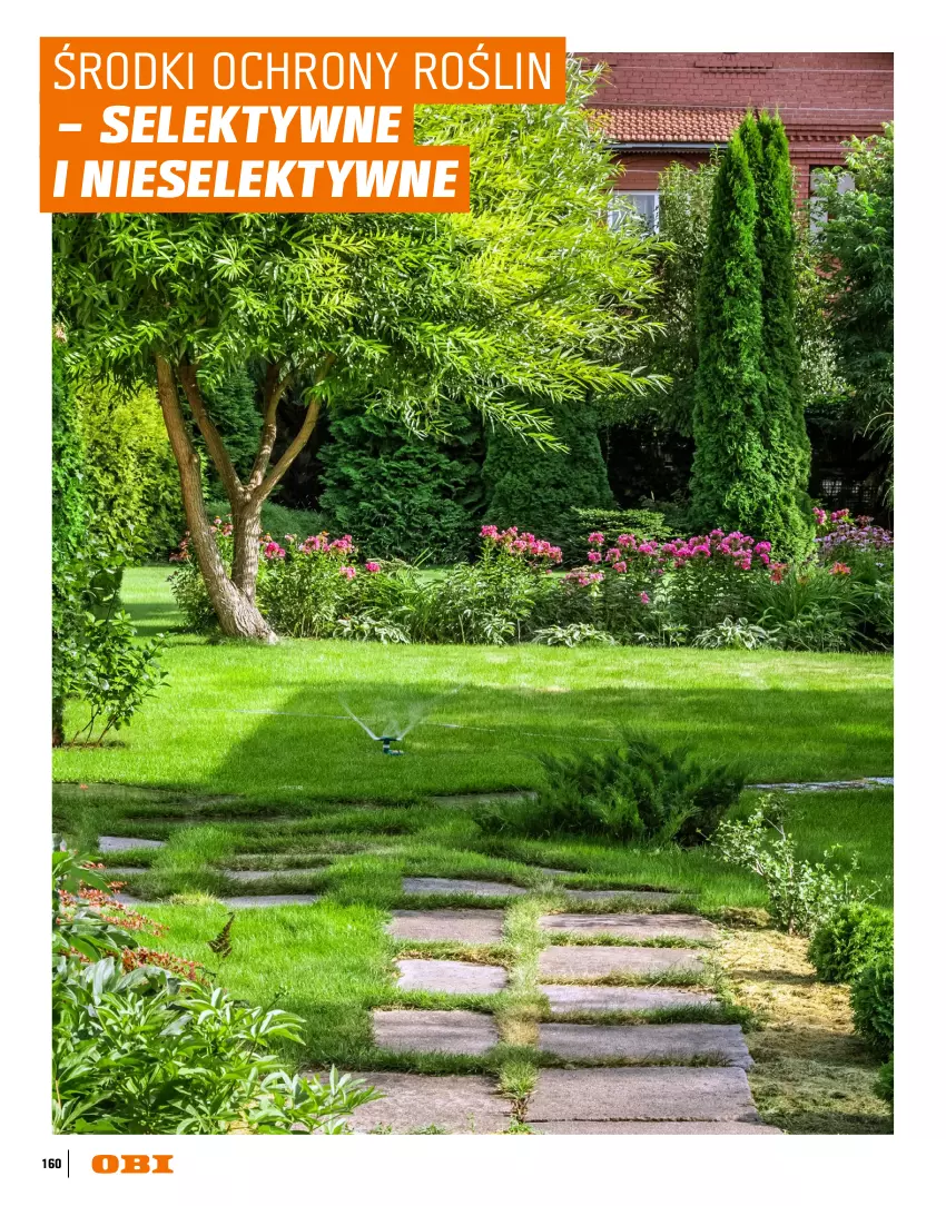 Gazetka promocyjna Obi - Gazetka OBI - ważna 16.03 do 31.08.2026 - strona 160 - produkty: Chodnik