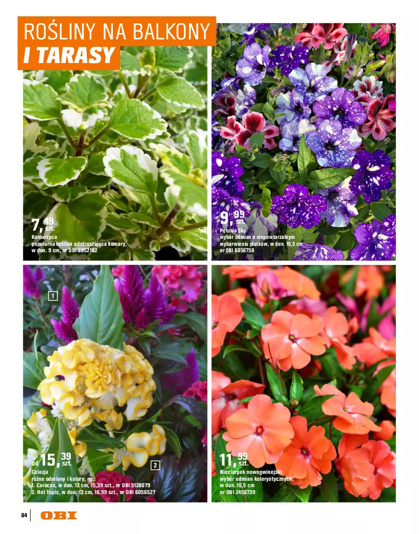 Gazetka promocyjna Obi - Gazetka OBI - ważna 16.03 do 31.08.2026 - strona 84 - produkty: Dzwonek, Inka, Por, Top