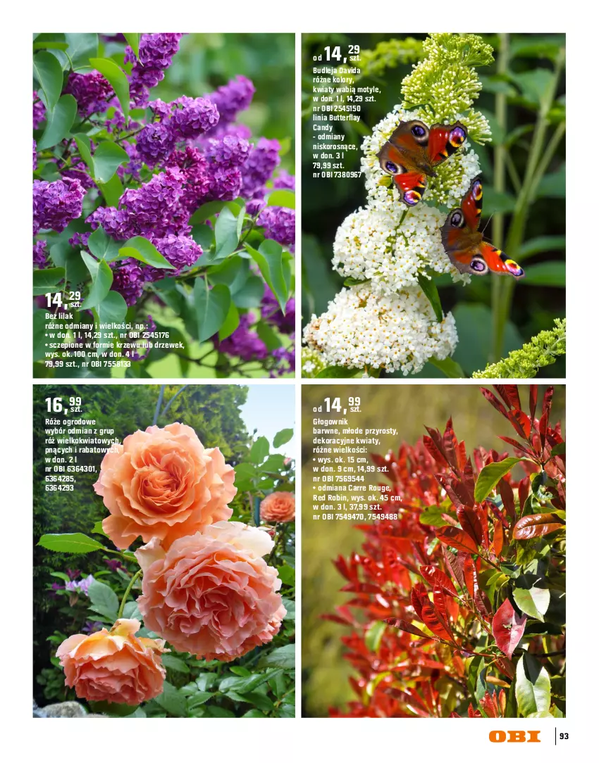 Gazetka promocyjna Obi - Gazetka OBI - ważna 16.03 do 31.08.2026 - strona 93 - produkty: Bukiet, Candy, Laur, Piwo