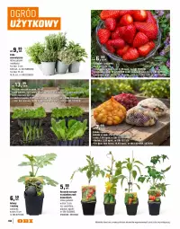 Gazetka promocyjna Obi - Gazetka OBI - Gazetka - ważna od 31.08 do 31.08.2026 - strona 104 - produkty: Piec, Cebula, Por, Gin, Borówka, Borówka amerykańska, Truskawki, Jeżyny, Sałat, Piast, Maliny, Seler naciowy, Arbuz, Wino, Gres, Ogród, Pomidory, Melon, Podkład, Intel