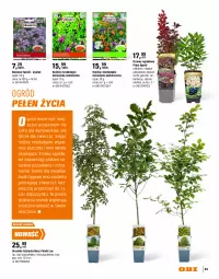 Gazetka promocyjna Obi - Gazetka OBI - Gazetka - ważna od 31.08 do 31.08.2026 - strona 95 - produkty: Piec, Gra, Aronia, Ogród, Intel, Fa