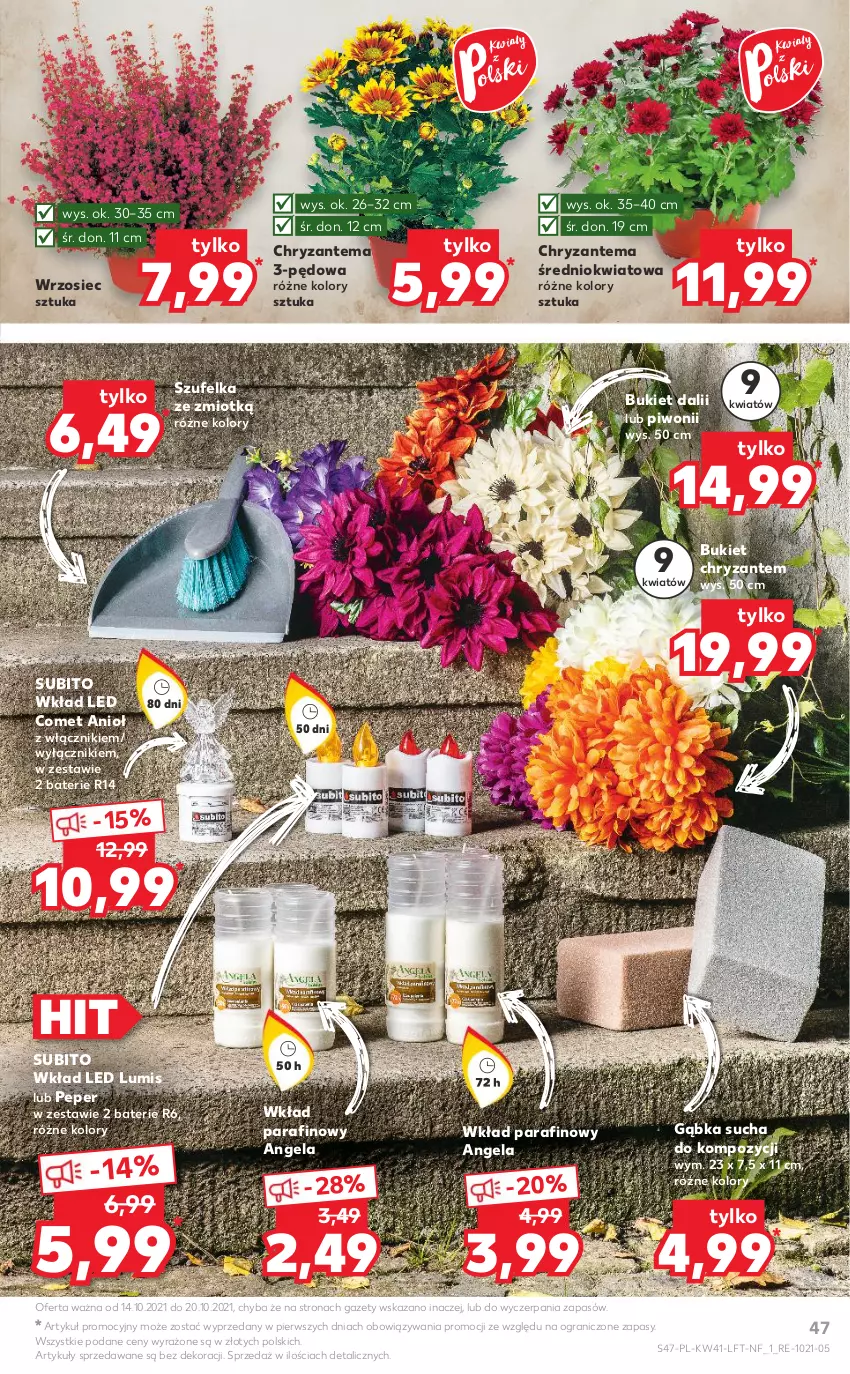 Gazetka promocyjna Kaufland - OFERTA TYGODNIA - ważna 14.10 do 20.10.2021 - strona 47 - produkty: Bukiet, Chryzantema, Gra, Piwo, Szufelka