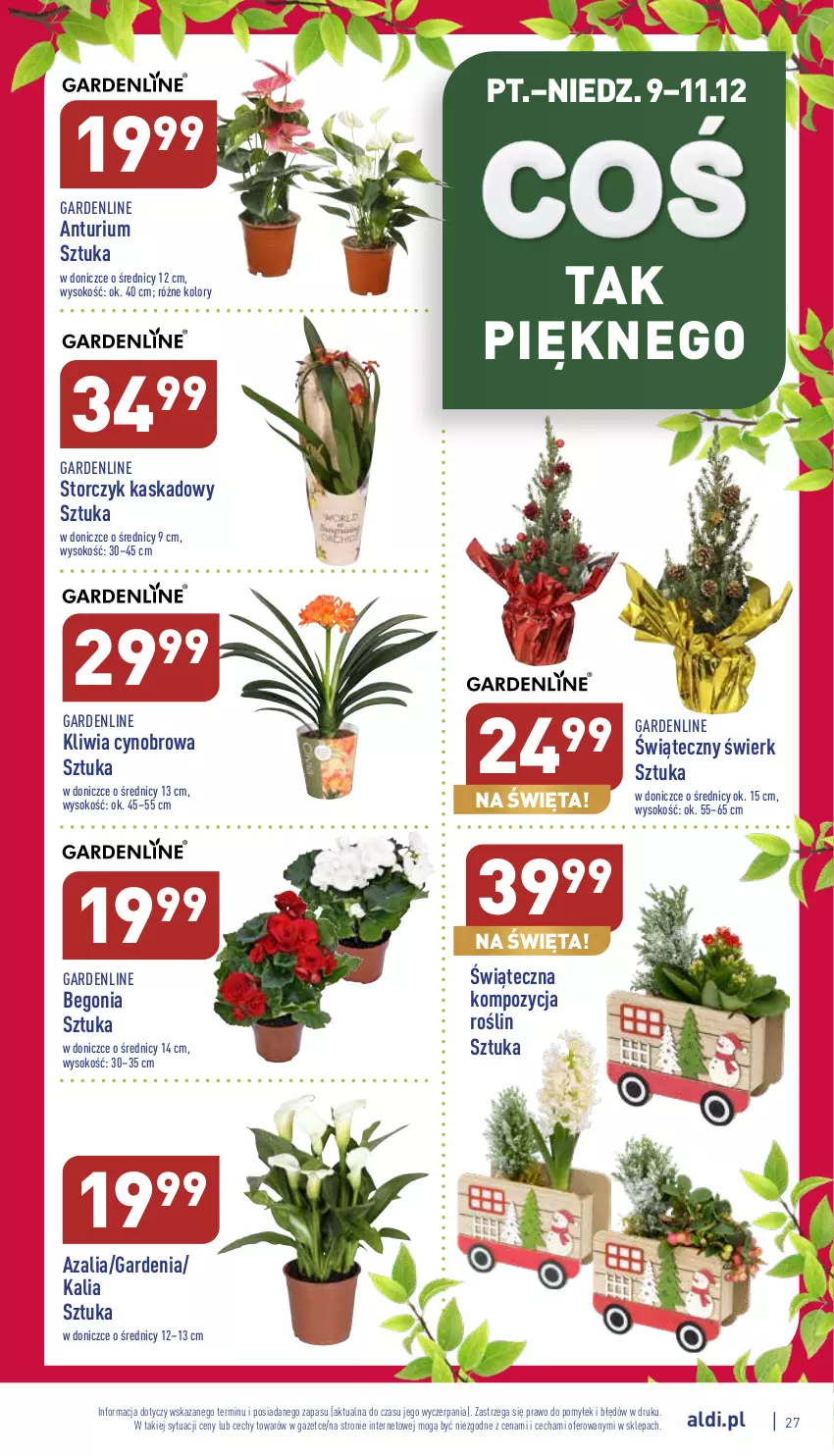 Gazetka promocyjna Aldi - Pełny katalog - ważna 05.12 do 11.12.2022 - strona 27 - produkty: Kask, Sok, Storczyk