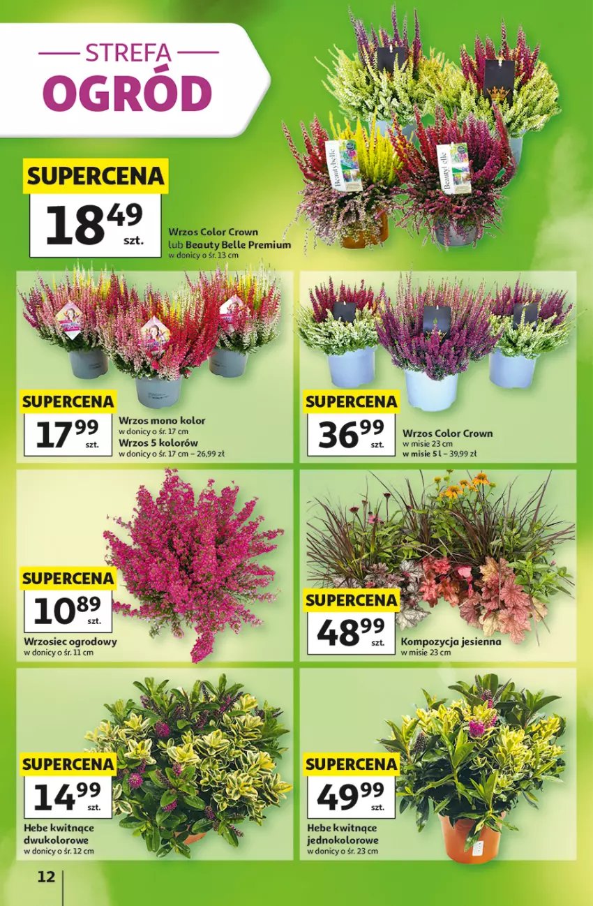 Gazetka promocyjna Auchan - 30 Lat Hipermarket - ważna 03.09 do 09.09.2026 - strona 12 - produkty: Bell