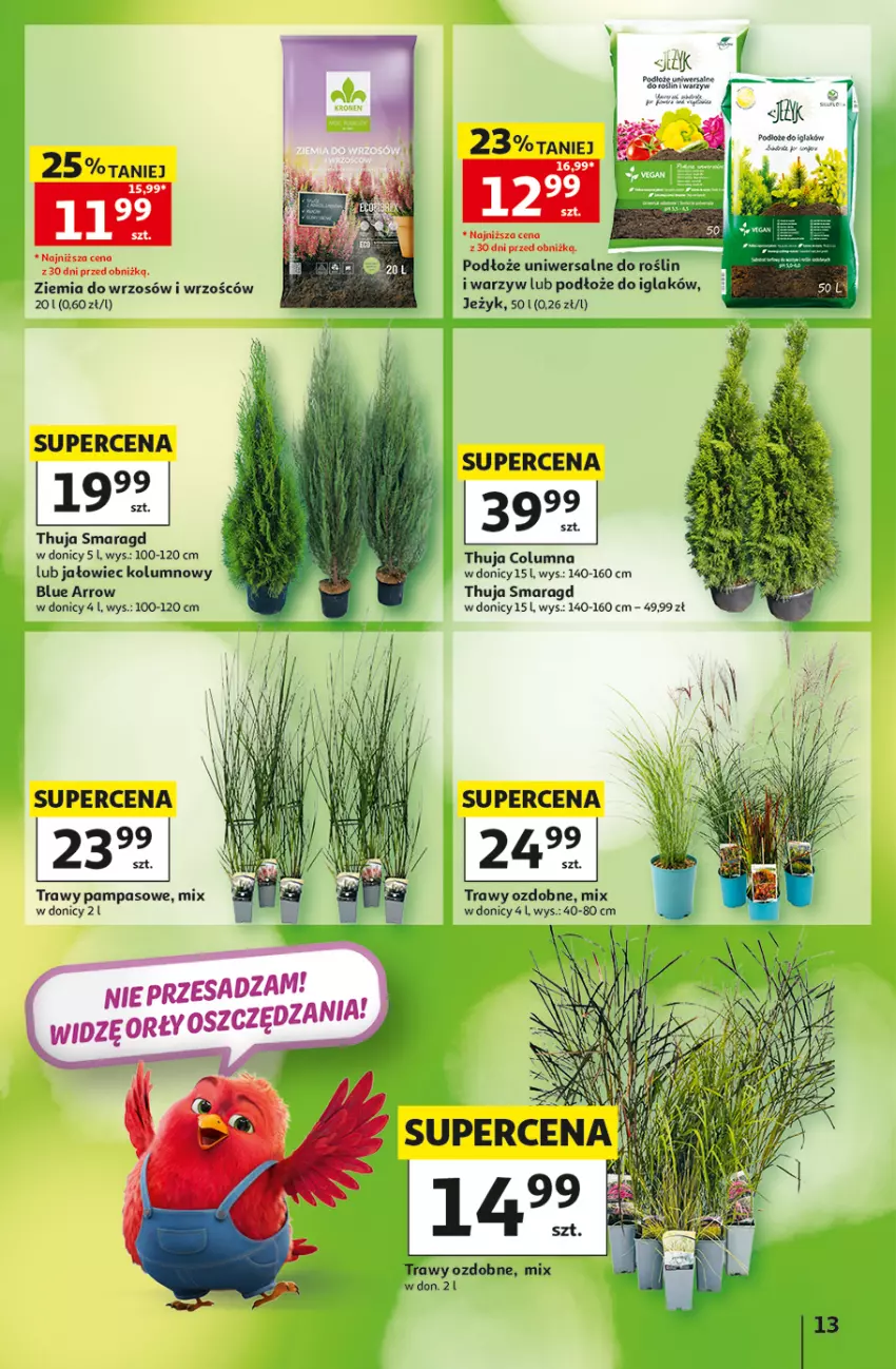 Gazetka promocyjna Auchan - 30 Lat Hipermarket - ważna 03.09 do 09.09.2026 - strona 13