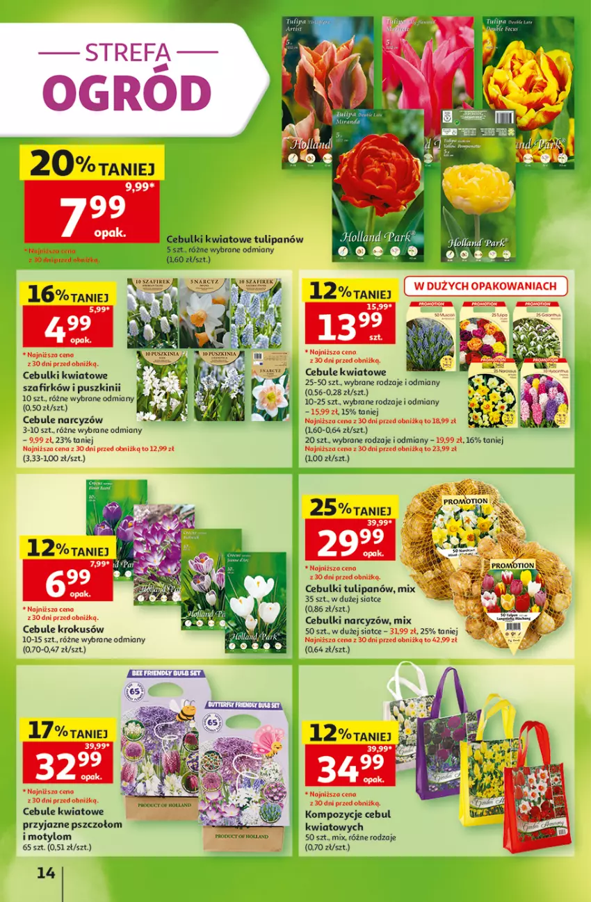 Gazetka promocyjna Auchan - 30 Lat Hipermarket - ważna 03.09 do 09.09.2026 - strona 14 - produkty: Fa, Krokus, Miska, Narcyz, Ogród, Tulipan
