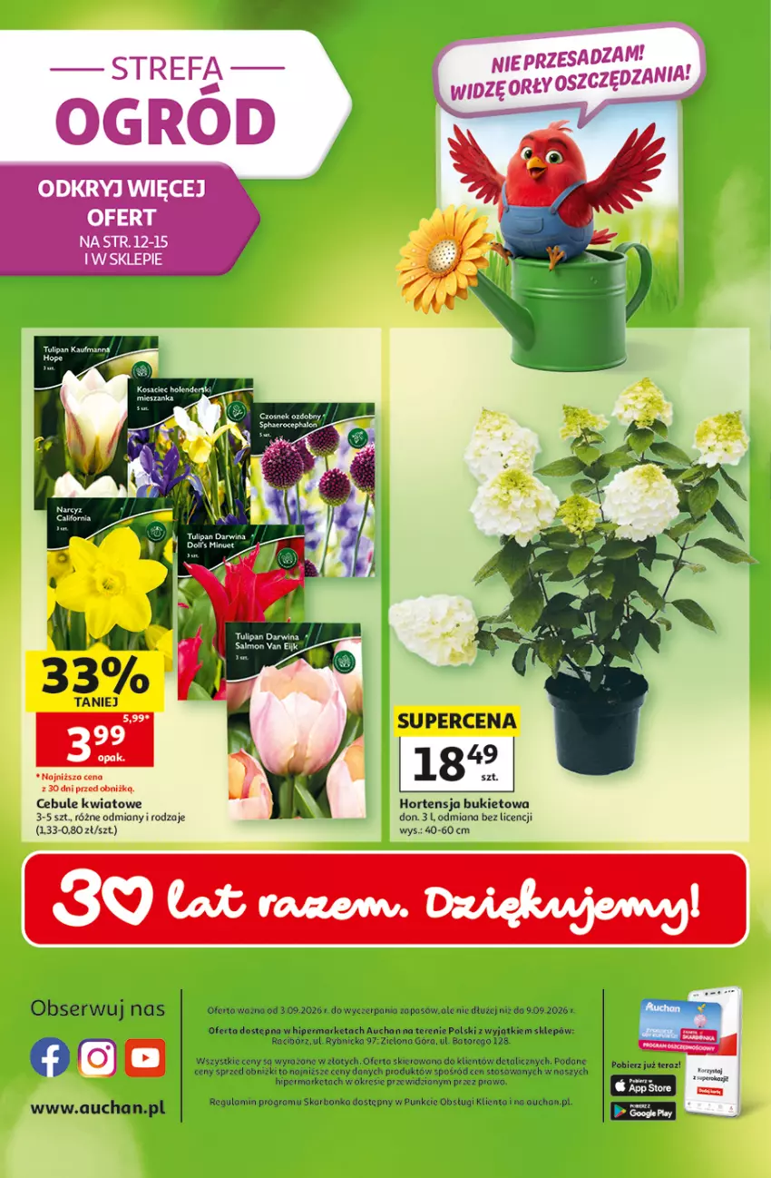 Gazetka promocyjna Auchan - 30 Lat Hipermarket - ważna 03.09 do 09.09.2026 - strona 49 - produkty: Brit, Bukiet, Fa, Gra, LG, Ser, Tarta, Tera, Tulipan