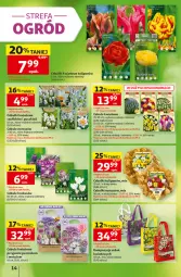 Gazetka promocyjna Auchan - 30 Lat Hipermarket - Gazetka - ważna od 09.09 do 09.09.2026 - strona 14 - produkty: Tulipan, Narcyz, Krokus, Ogród, Miska, Fa