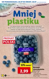 Gazetka promocyjna Lidl - GAZETKA - Gazetka - ważna od 28.07 do 28.07.2021 - strona 6 - produkty: Por, Borówka, Borówka amerykańska
