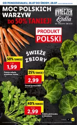 Gazetka promocyjna Lidl - GAZETKA - Gazetka - ważna od 28.07 do 28.07.2021 - strona 7 - produkty: Pietruszka, Jarmuż