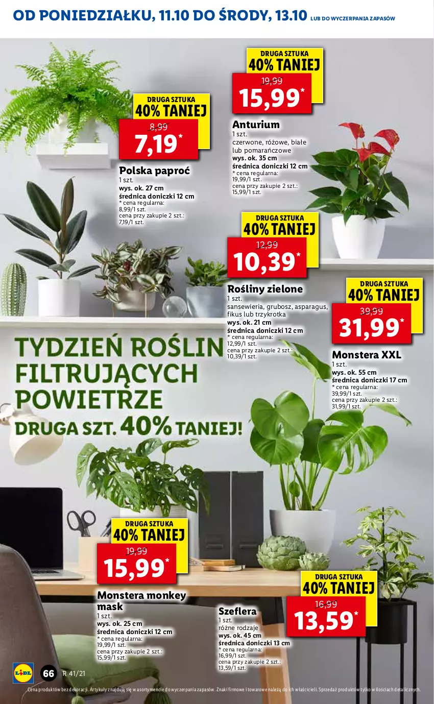 Gazetka promocyjna Lidl - GAZETKA - ważna 11.10 do 13.10.2021 - strona 66 - produkty: Tera