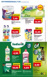 Gazetka promocyjna Lidl - GAZETKA - Gazetka - ważna od 13.10 do 13.10.2021 - strona 63 - produkty: Ludwik, Domestos, Por, Mus, Gra, Cif, Do mycia naczyń, Spray do czyszczenia, Papier, Finish, Bref, Tablet, Granat, Płyn do mycia naczyń, Papier toaletowy, Ręcznik, Płyn do mycia, Zmywarki, Flora, Ogród, Tabletki do zmywarki, Mięta, Grejpfrut