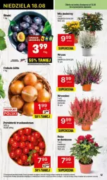 Gazetka promocyjna Delikatesy Centrum - Gazetka - ważna od 14.08 do 14.08.2024 - strona 4 - produkty: Cebula, Rum, LANA