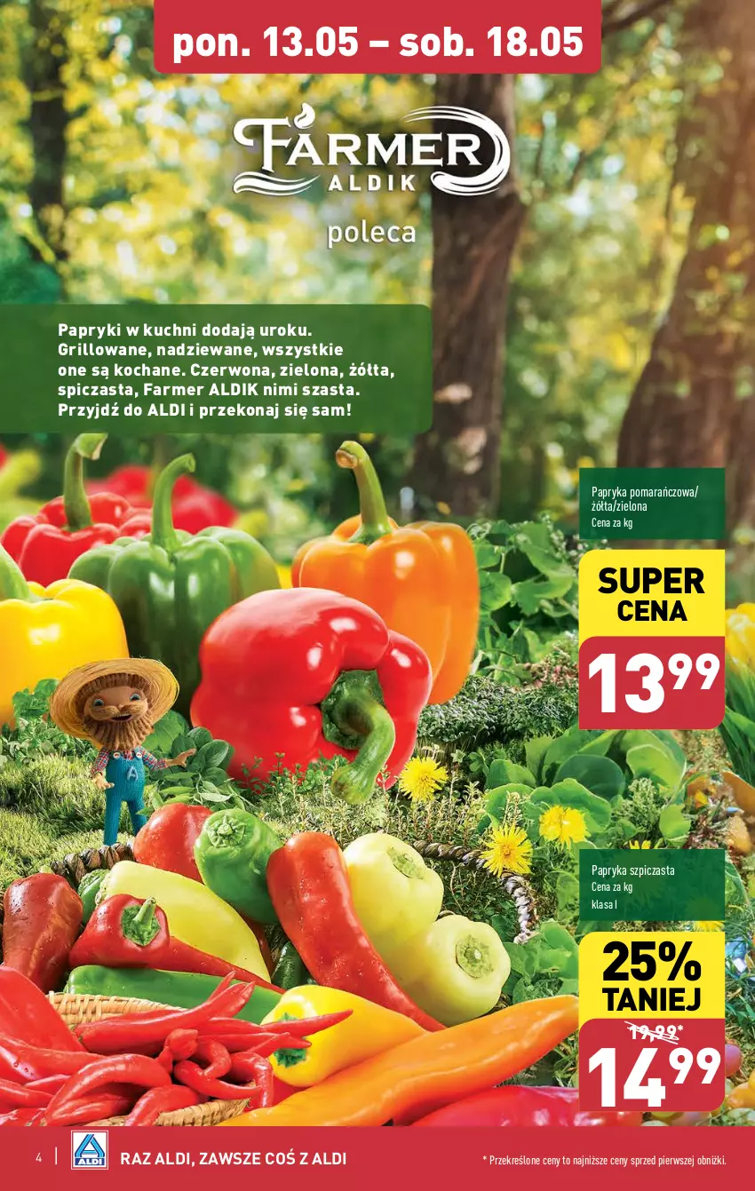 Gazetka promocyjna Aldi - Pełna oferta - ważna 13.05 do 18.05.2024 - strona 4 - produkty: Fa, Grill, Koc, Papryka, Szpic