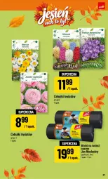 Gazetka promocyjna PoloMarket - Katalog NF Jesień - Gazetka - ważna od 05.11 do 05.11.2026 - strona 21 - produkty: Jan Niezbędny, Worki na śmieci, Worki na śmiec, Fa