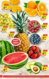 Gazetka promocyjna Arhelan - Gazetka - ważna od 31.03 do 31.03.2024 - strona 12 - produkty: Tera, Wino, Mango, Fa