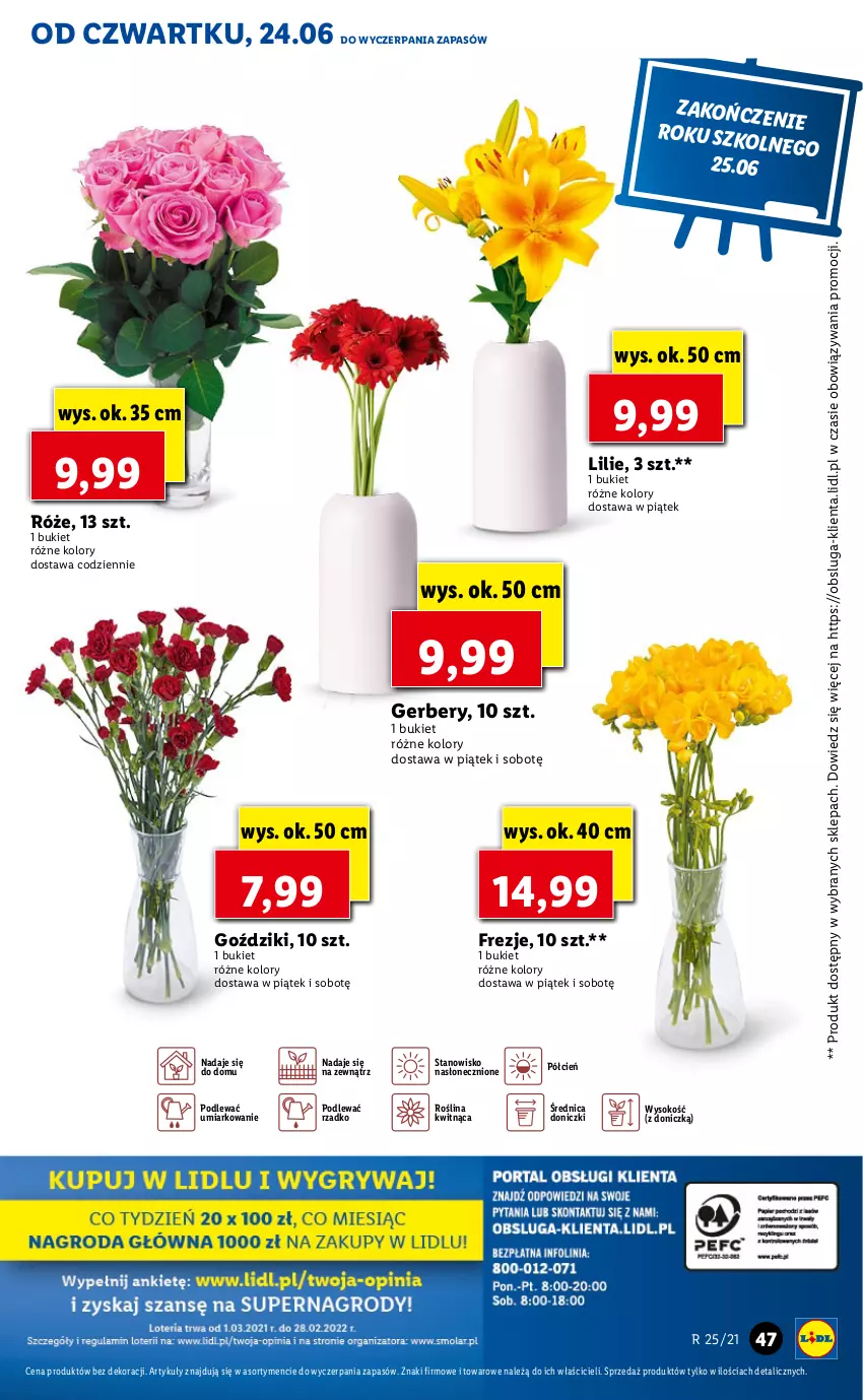 Gazetka promocyjna Lidl - GAZETKA - ważna 24.06 do 27.06.2021 - strona 47 - produkty: Bukiet, Cień, Gerber, O nas, Sok