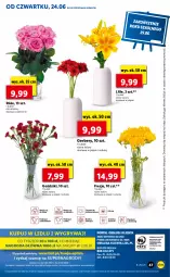 Gazetka promocyjna Lidl - GAZETKA - Gazetka - ważna od 27.06 do 27.06.2021 - strona 47 - produkty: Sok, Gerber, Cień, O nas, Bukiet