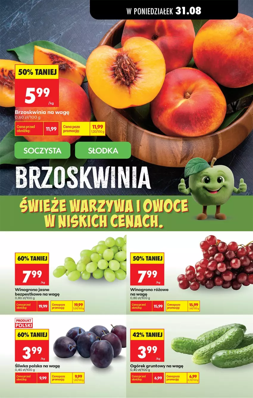 Gazetka promocyjna Biedronka - Od Poniedziałku - ważna 31.08 do 05.09.2026 - strona 51 - produkty: Grunt, Ogórek, Wino