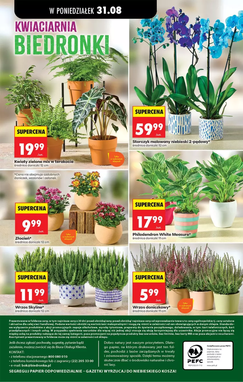 Gazetka promocyjna Biedronka - Od Poniedziałku - ważna 31.08 do 05.09.2026 - strona 62 - produkty: Gra, Koc, Kosz, Napoje, Papier, Ser, Storczyk, Telefon, Tera, Wazon