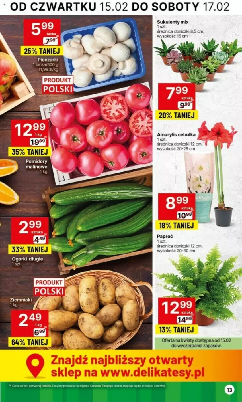 Gazetka promocyjna Delikatesy Centrum - ważna 15.02 do 21.02.2024 - strona 5 - produkty: Amarylis, Pomidory, Sok, Sukulent