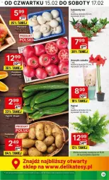 Gazetka promocyjna Delikatesy Centrum - Gazetka - ważna od 21.02 do 21.02.2024 - strona 5 - produkty: Sok, Amarylis, Pomidory, Sukulent